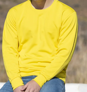 Sudadera Técnica Deportiva Personalizada 100% Poliéster