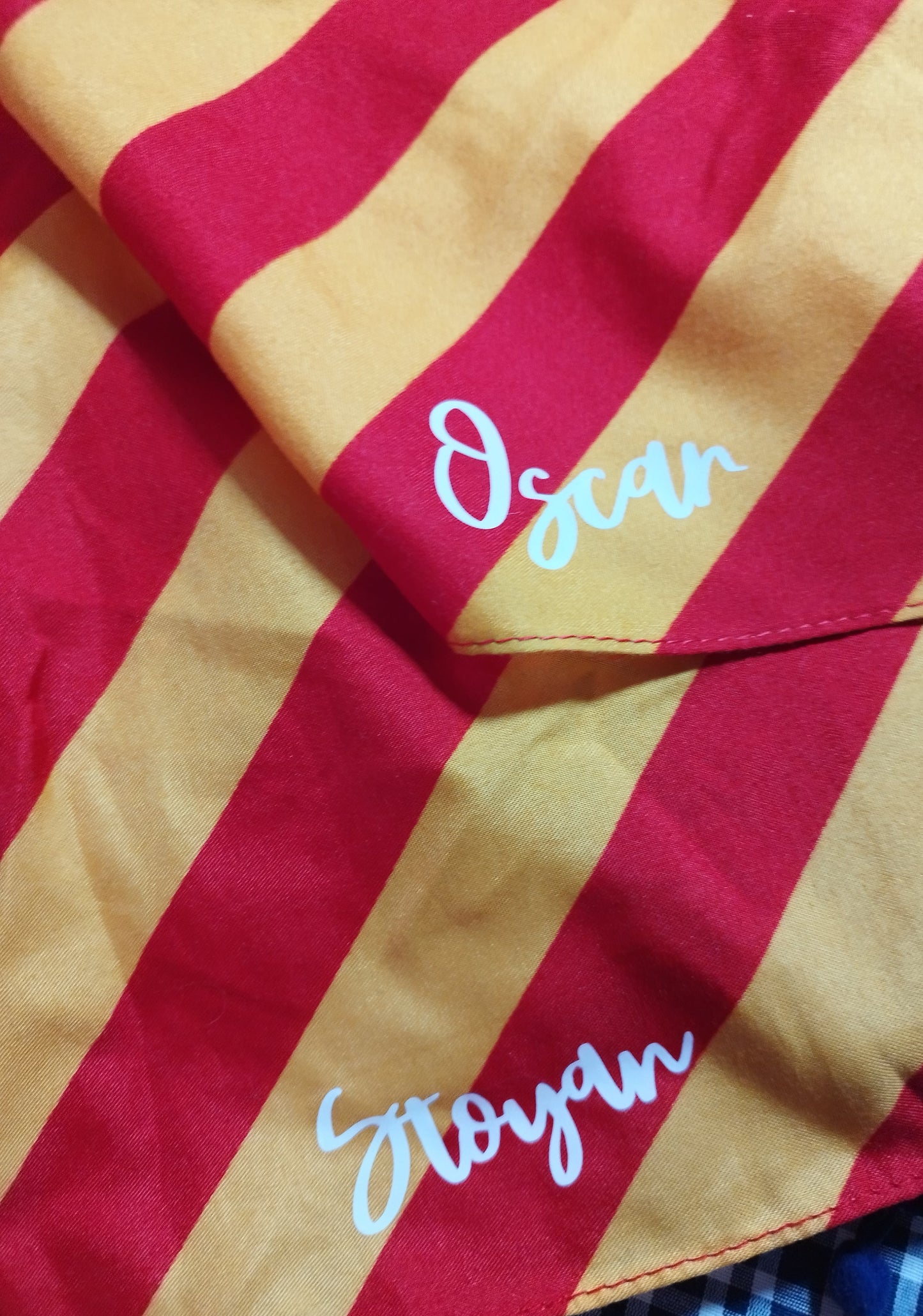 🟨🟥🟦 Pañuelo Senyera Personalizado