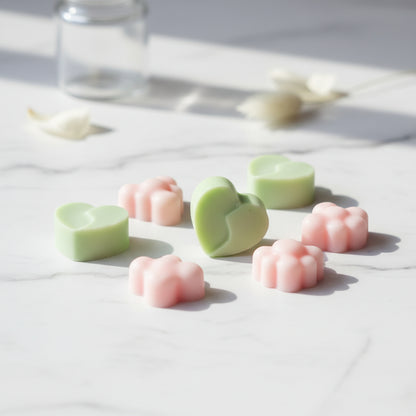 Bolsita de Figuras Wax Melts Sandía