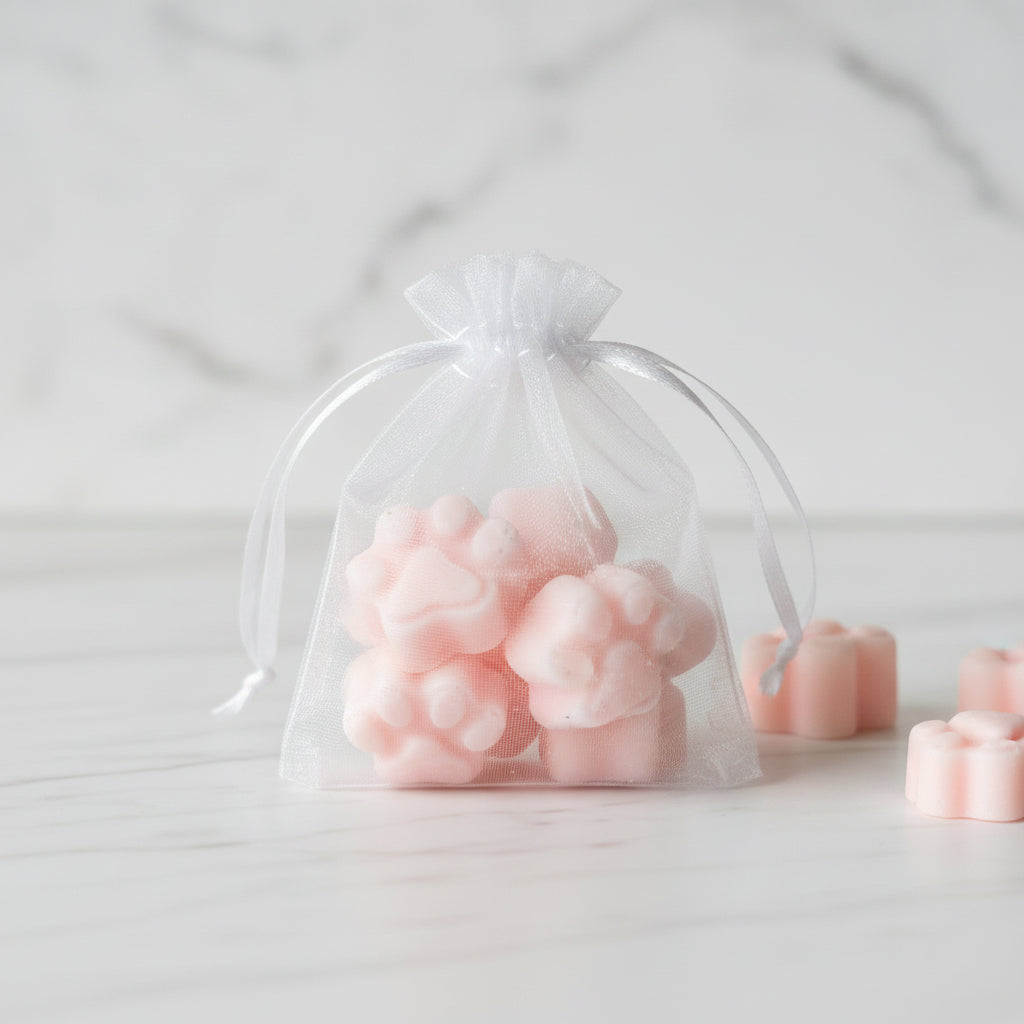 Bolsita de Figuras Wax Melts Sandía