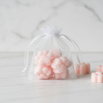 Bolsita de Figuras Wax Melts Sandía