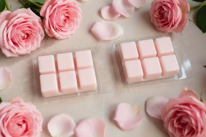 🌈 Pack Descubre 4 Aromas
