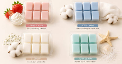 🌈 Pack Descubre 4 Aromas