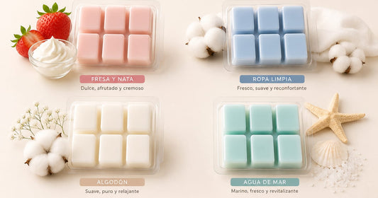 🌈 Pack Descubre 4 Aromas