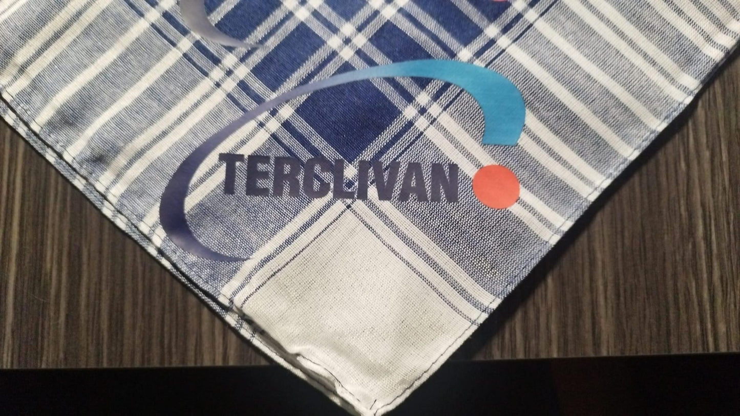 🧣 Pañuelo Fallero Personalizado
